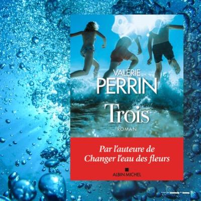 Changer l'eau des fleurs : le bestseller de Valérie Perrin bientôt adapté  en série